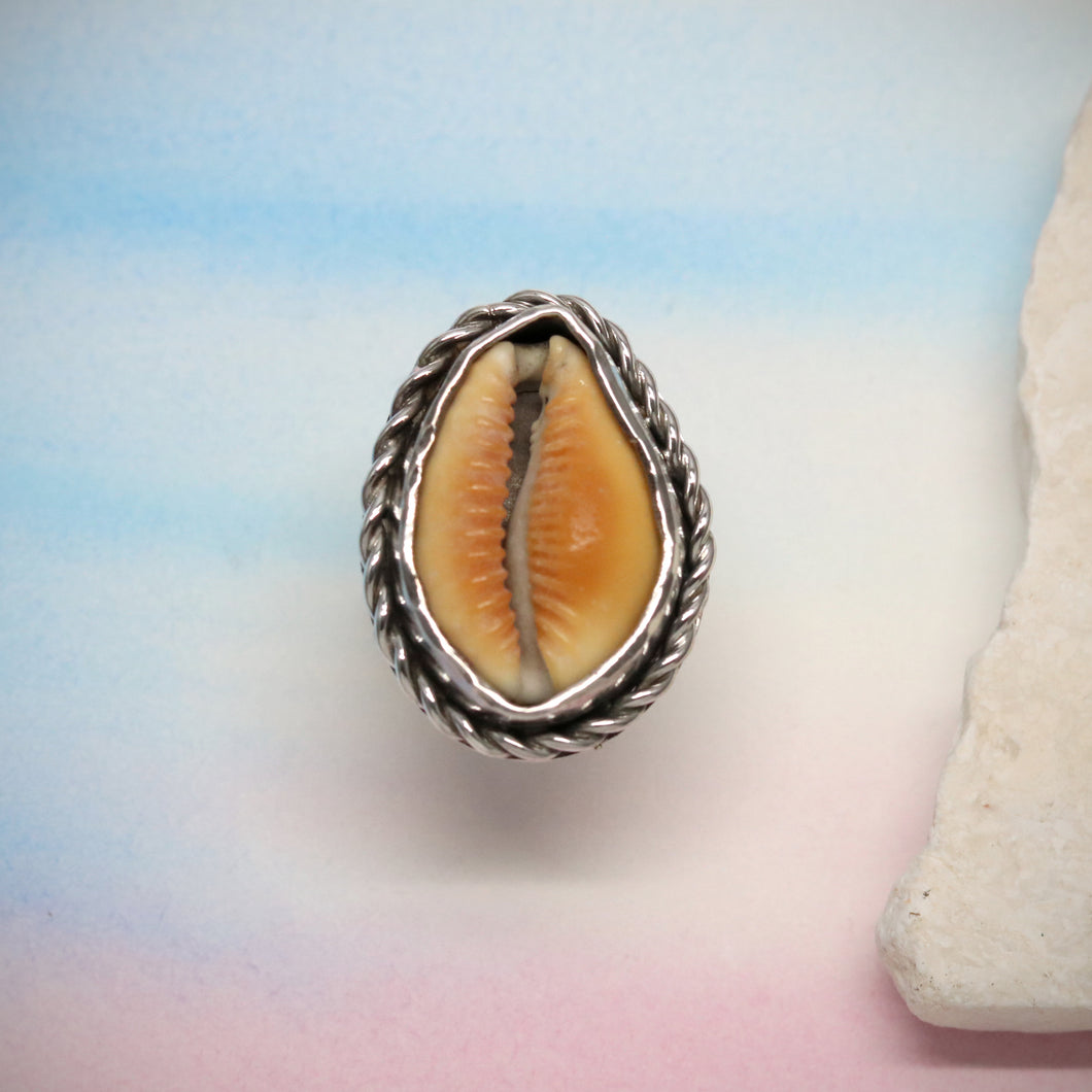 SV925 Honey cowry Ring./#11 one of a kind.