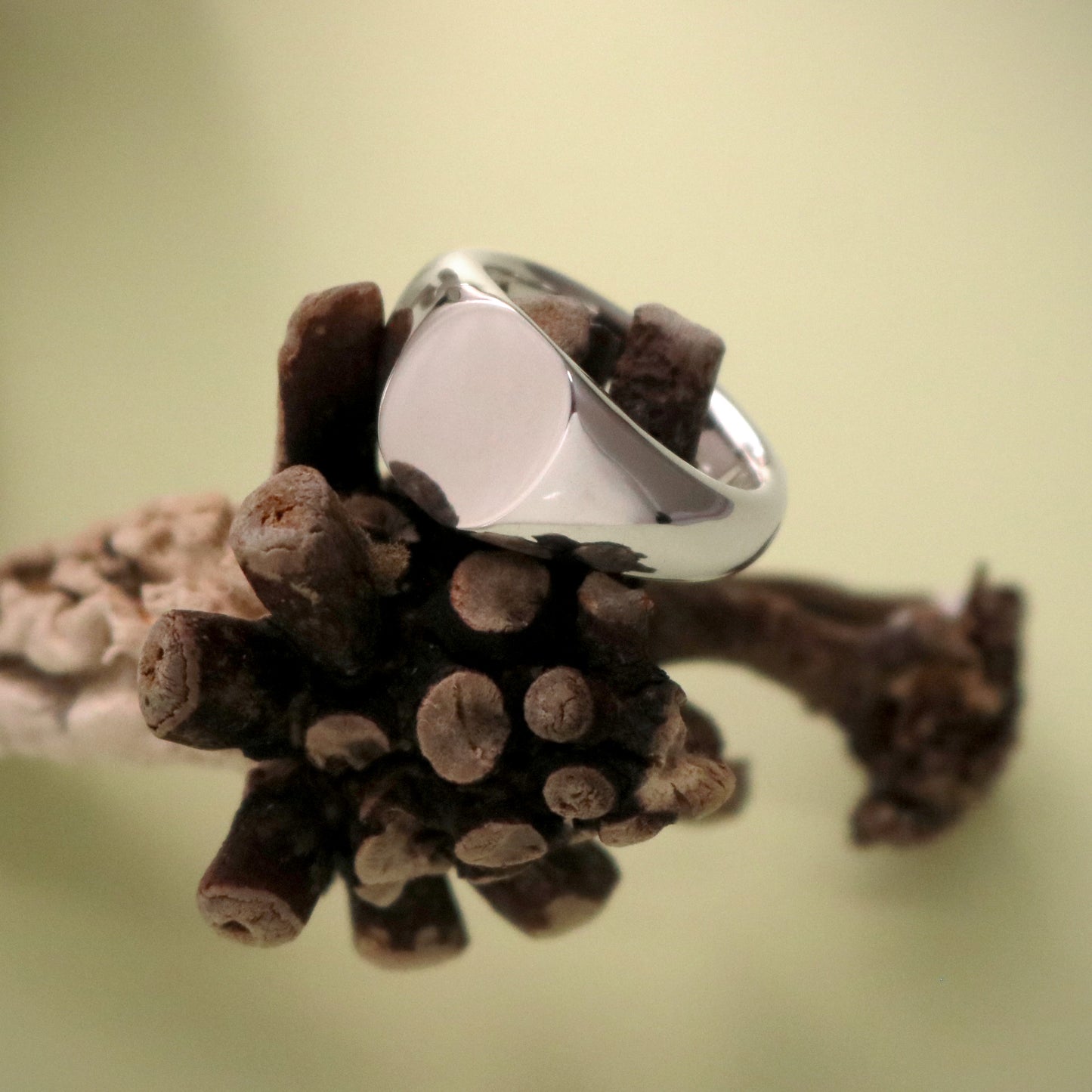 SV925. Plane Signet Ring. (Round)