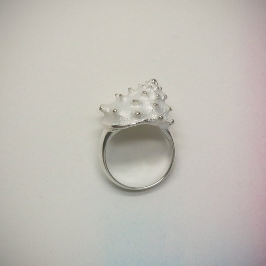 SV925 Spiral Shell Ring.