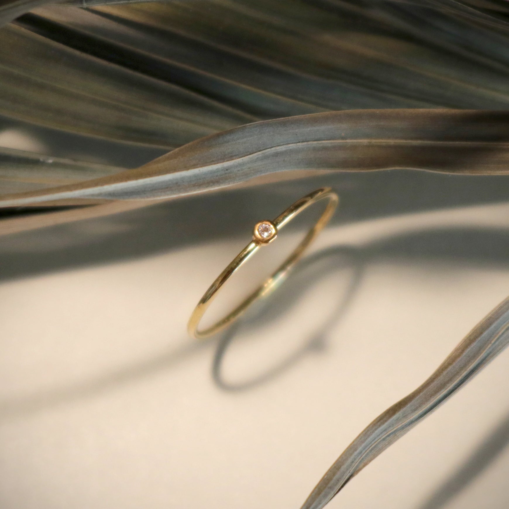 Ring – echoes brand