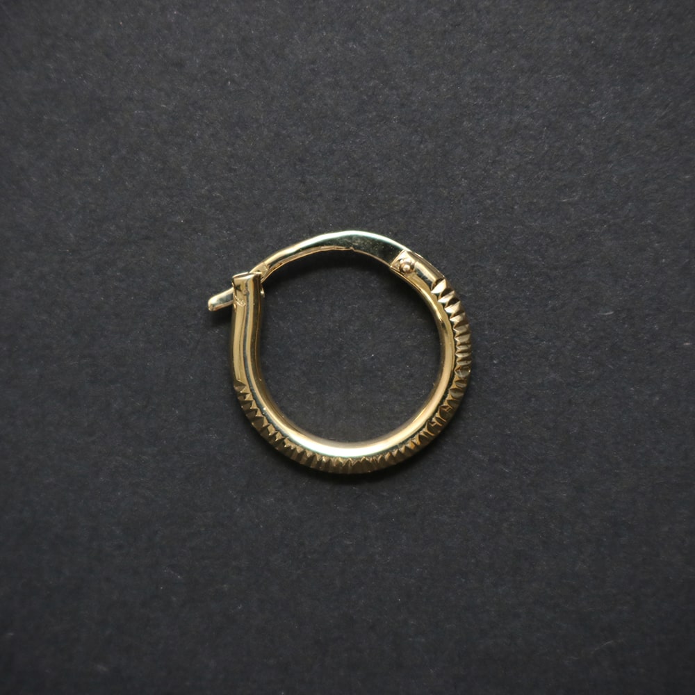 Glinting Single Earring.