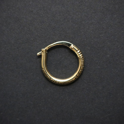 Glinting Single Earring.
