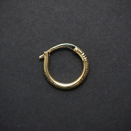Glinting Single Earring.