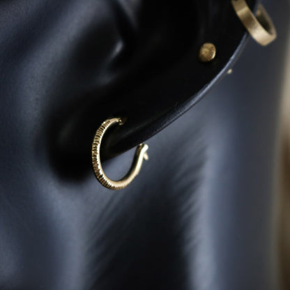 Glinting Single Earring.